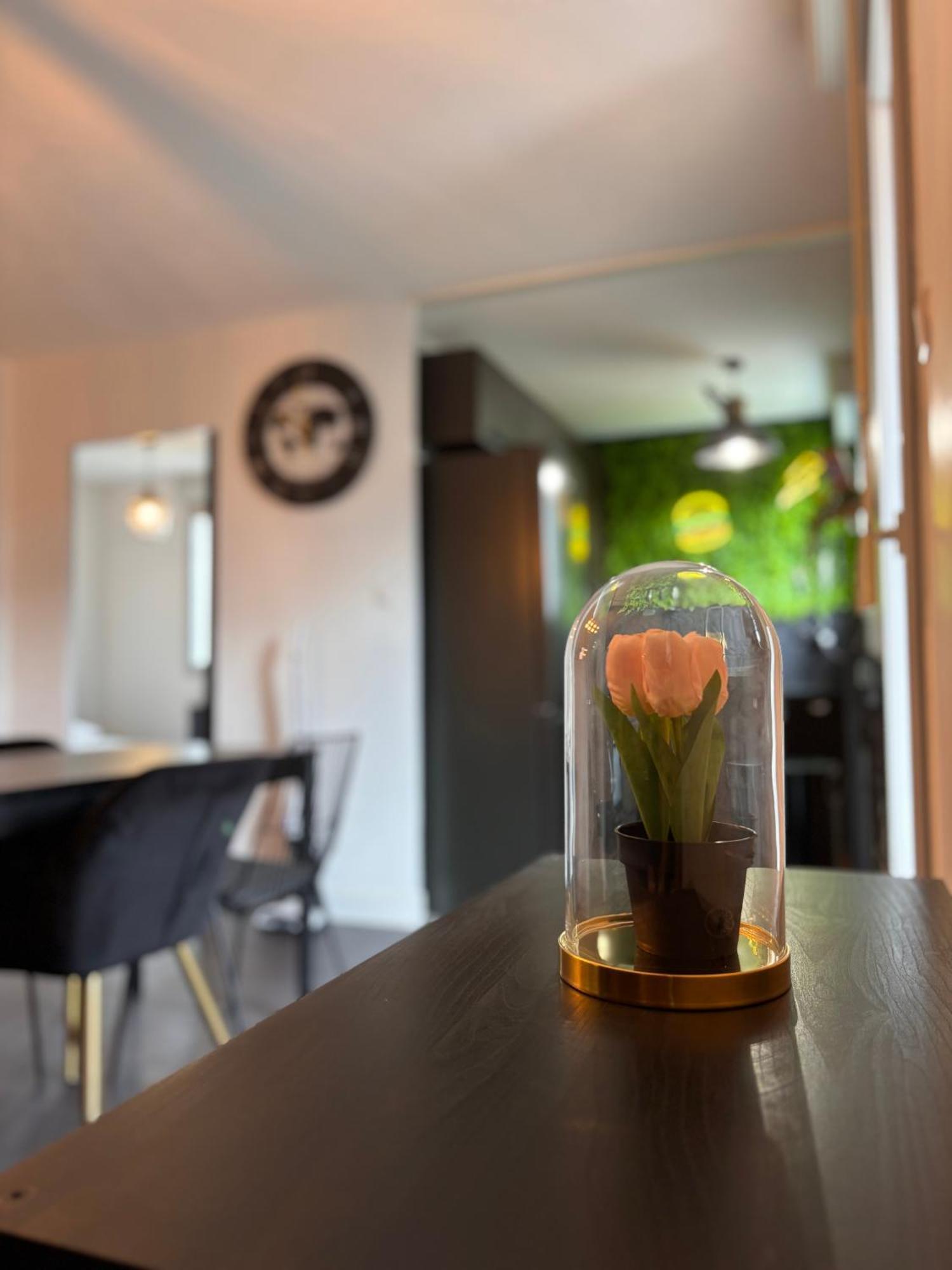 Charmant Appartement Toulouse Exterior photo